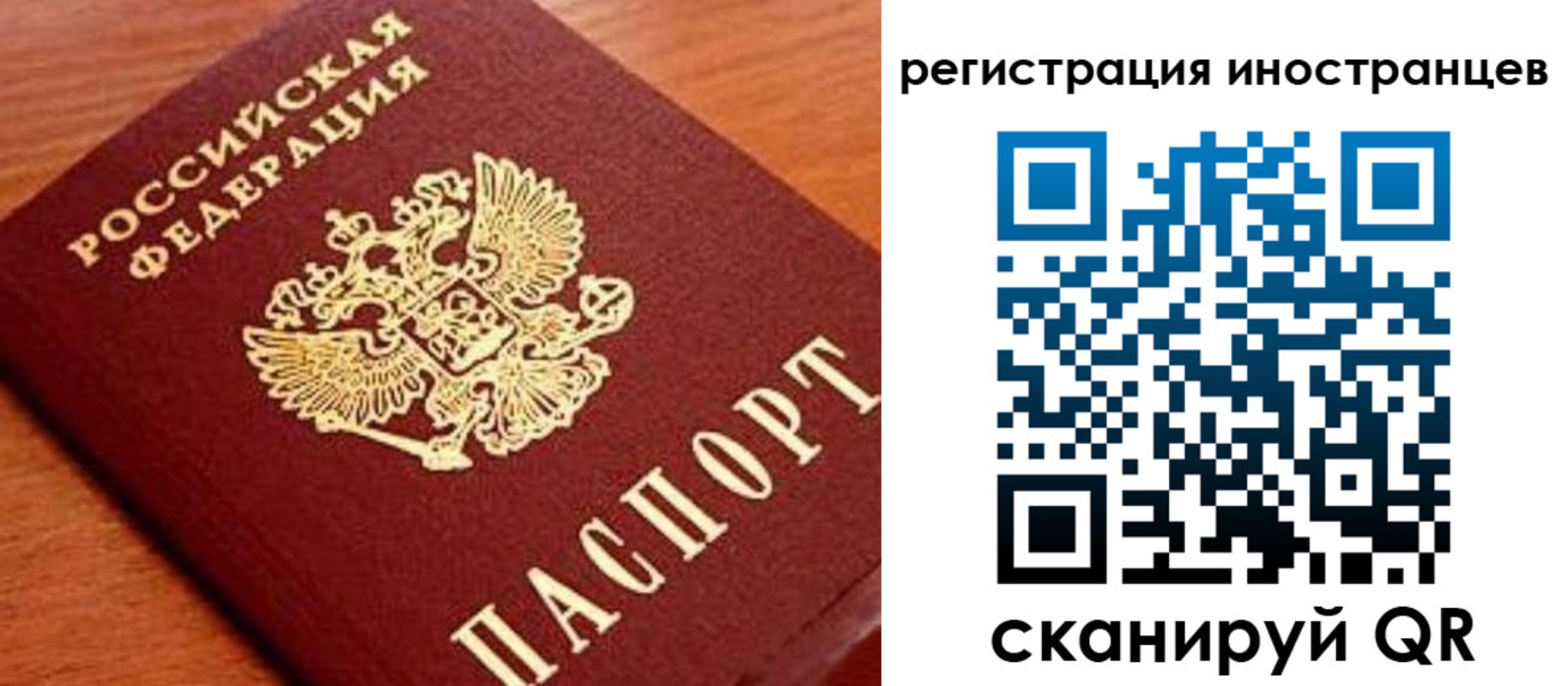 временная регистрация поиск в Гудермесе
